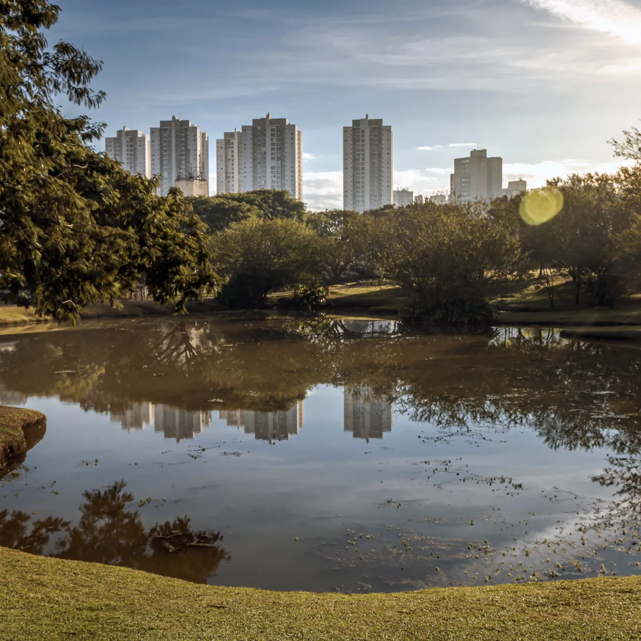 Zona Sul de Ribeirão Preto